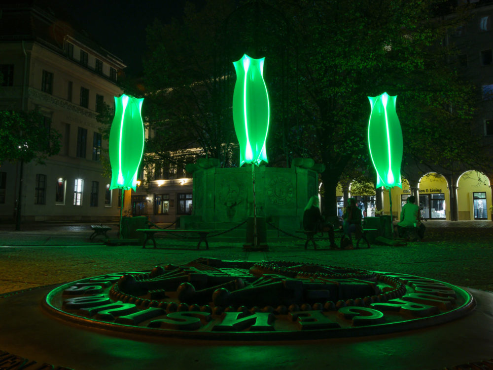 Lichtinstallation 2019