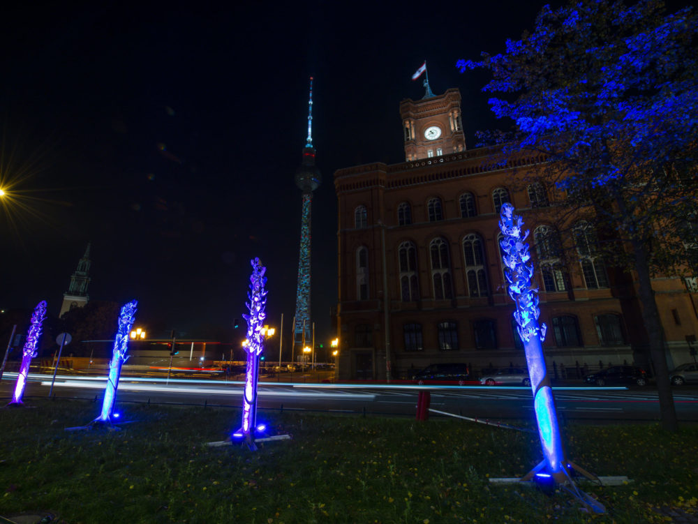 Lichtinstallation 2019
