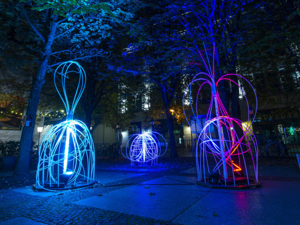 Lichtinstallation 2019
