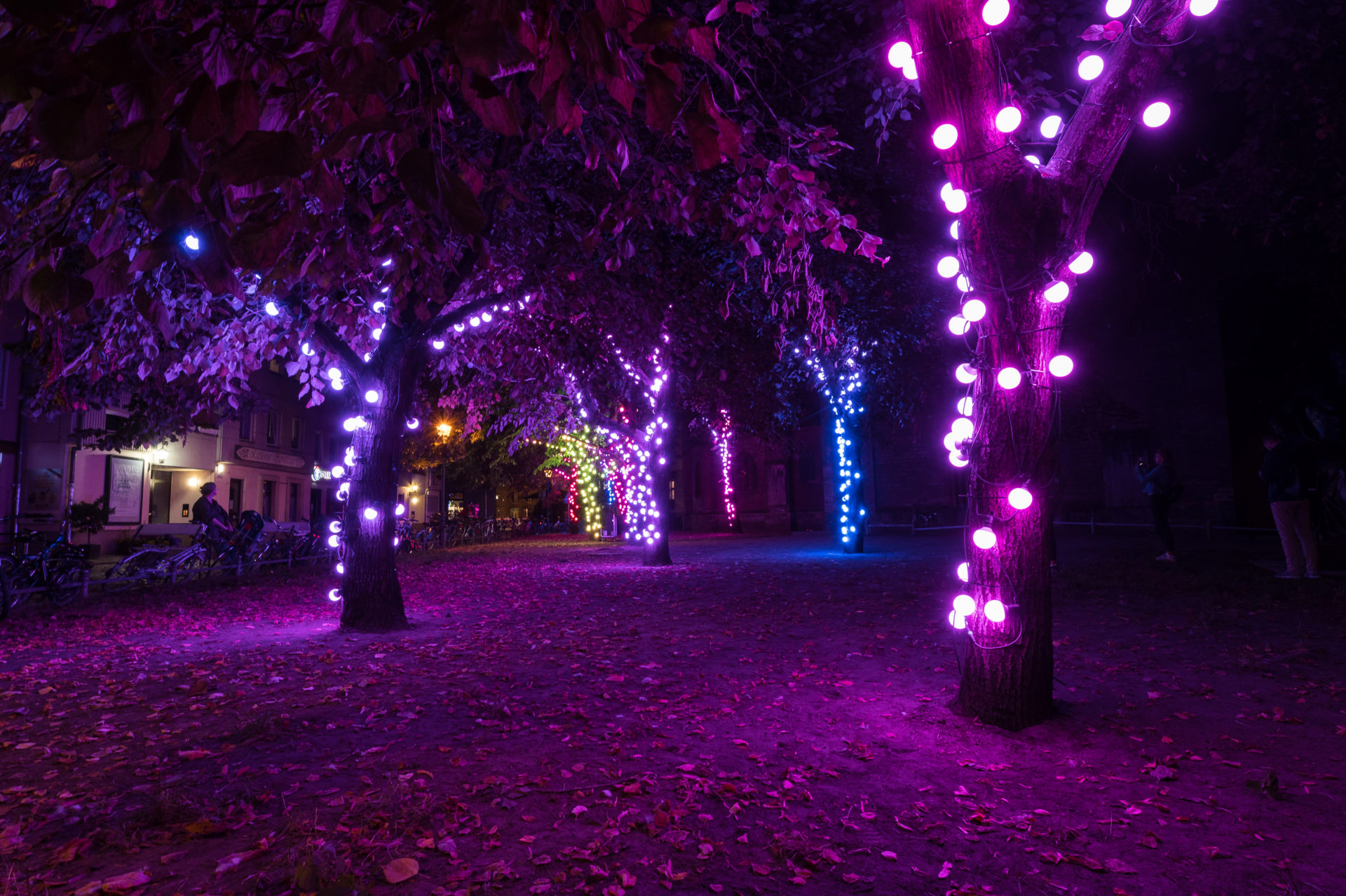Tree of Lights 2021