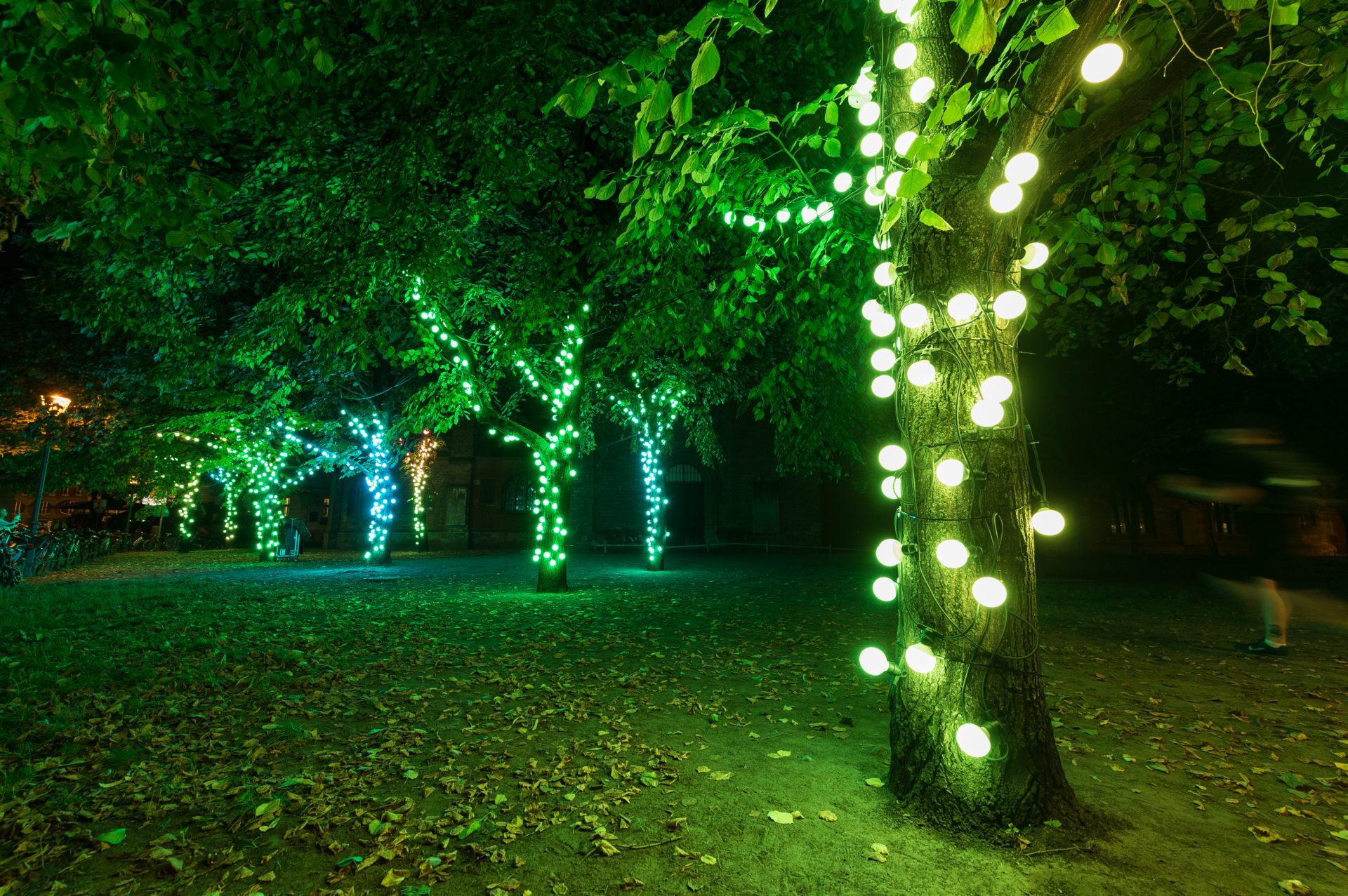 Tree of Lights 2021