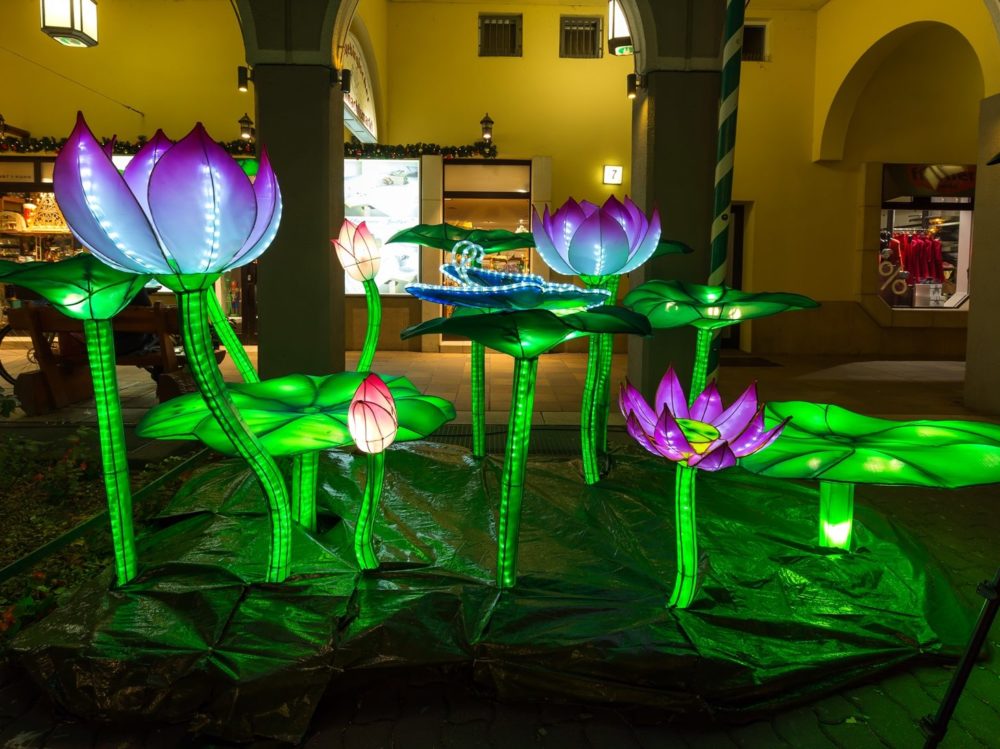 Lichtinstallation 2018