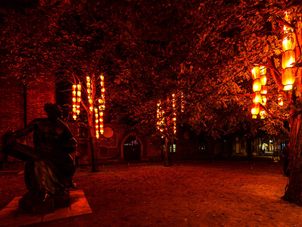 Lichtinstallation 2018