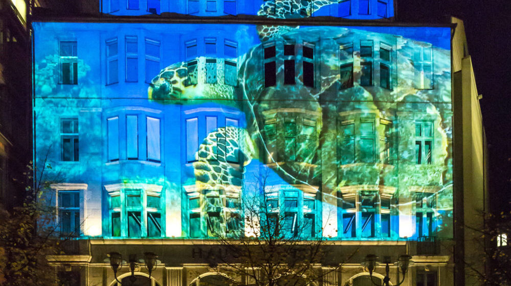 Haus Huth 2019