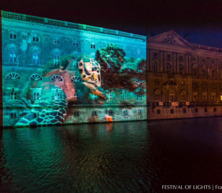 Marstall - festival of lights festival of lights
